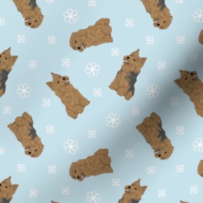 Tiny Terriers Norfolk & Norwich - winter snowflakes
