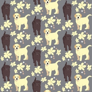 Labrador Puppies chocolate and yellow lab dog fabric