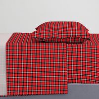 Red Plaid - Small (Rainbow Collection)