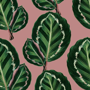 Green Leaves - Pink
