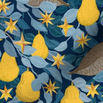 Partridges and Pears {Stars} - medium scale