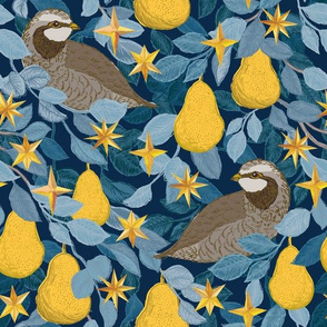 Partridges and Pears {Stars} - medium scale