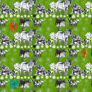 cows 21x18 green