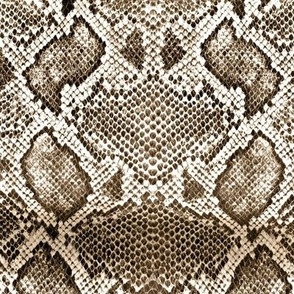 Snake skin texture brown