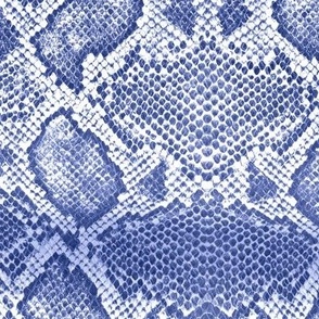 Snake skin texture blue