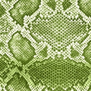 Snake skin texture green