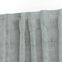 Ash Gray Papyrus Linen Texture