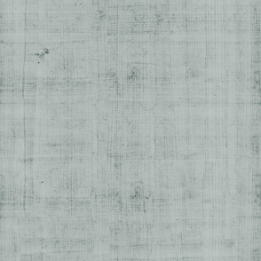 Ash Gray Papyrus Linen Texture