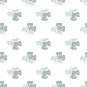 Soft mint grey ginkco leaves on white