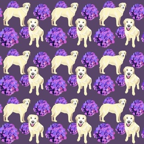 Golden Retriever and hydrangea purple flowers dog fabric