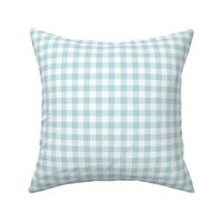 Gingham Pattern - Sea Spray and White