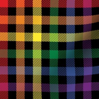 Rainbow Plaid - Medium (Rainbow Collection)