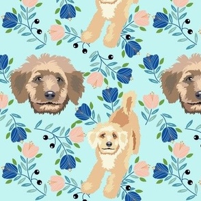 Golden Doodle Dogs and Tulips  flowers dog fabric