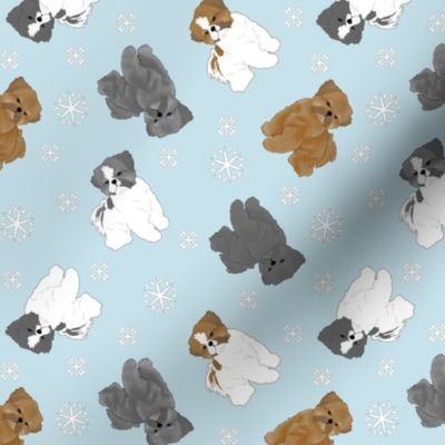 Tiny puppy cut Shih Tzus - winter snowflakes