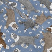 Trotting Bearded Collies and paw prints - faux denim