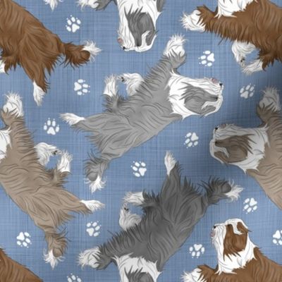 Trotting Bearded Collies and paw prints - faux denim