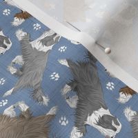 Tiny Trotting Bearded Collies and paw prints - faux denim