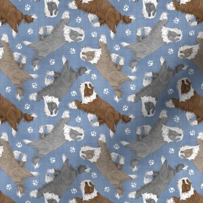Tiny Trotting Bearded Collies and paw prints - faux denim