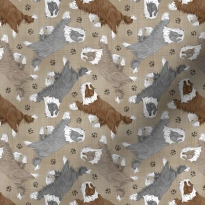Tiny Trotting Bearded Collies and paw prints - faux linen