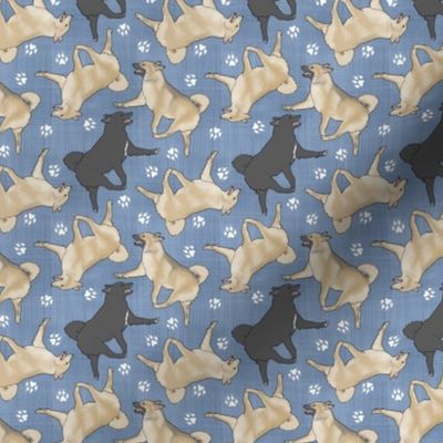 Tiny Trotting Norwegian Buhunds and paw prints - faux denim