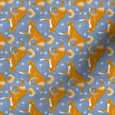 Tiny Trotting Nova Scotia duck tolling Retriever and paw prints - faux denim