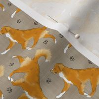 Tiny Trotting Nova Scotia duck tolling Retriever and paw prints - faux linen
