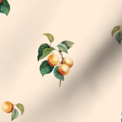 Apricots v2 Nectar // large