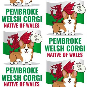 Corgi Wales Flag Medium on White