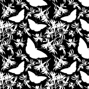 Bushland Blossom & Butterflies - white on black, medium 