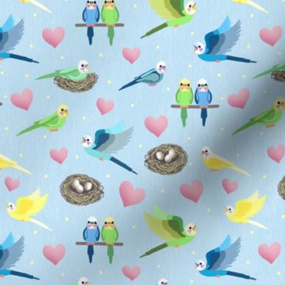 Parakeets in Love