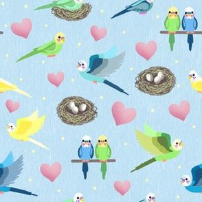 Parakeets in Love
