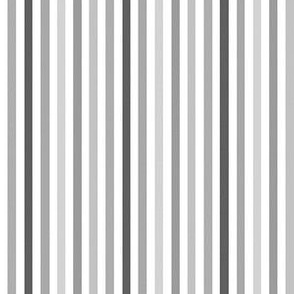 Gray, black and white stripe