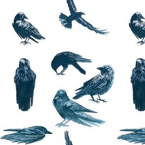 Ravens Ravens (larger)