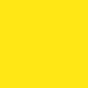 Solid Sunny Yellow (#fee715)