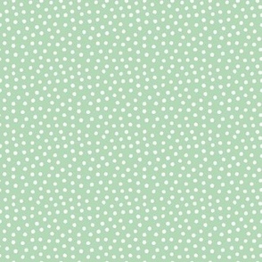 Dot Scatter on Mint - Small Scale
