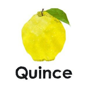 quince  - 6" panel