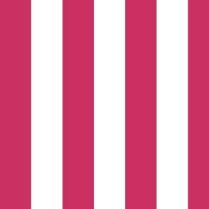 Large Raspberry Awning Stripe Pattern Vertical in White