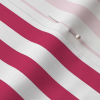 Raspberry Awning Stripe Pattern Vertical in White