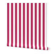 Raspberry Awning Stripe Pattern Vertical in White