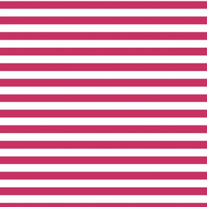 Raspberry Bengal Stripe Pattern Horizontal in White