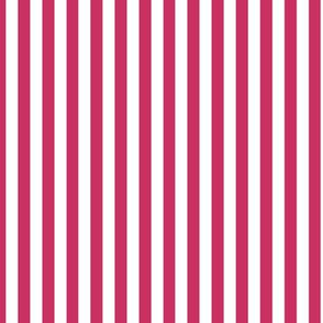 Raspberry Bengal Stripe Pattern Vertical in White