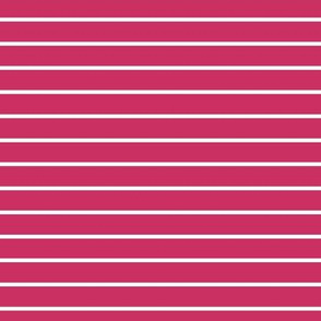 Raspberry Pin Stripe Pattern Horizontal in White