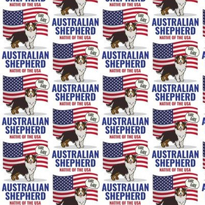 Australian Shepherd Small White