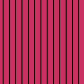 Raspberry Pin Stripe Pattern Vertical in Black