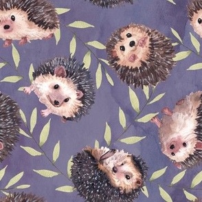 Hedgehogs