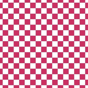 Checker Pattern - Raspberry and White