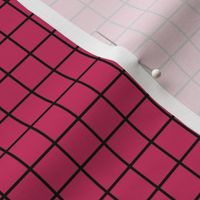 Grid Pattern - Raspberry and Black