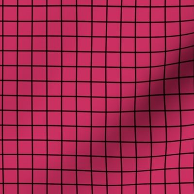 Grid Pattern - Raspberry and Black