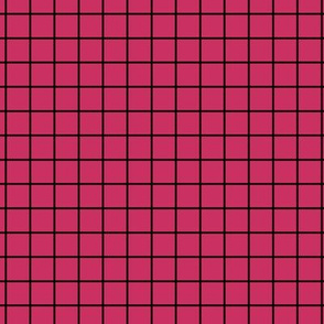 Grid Pattern - Raspberry and Black