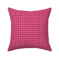Grid Pattern - Raspberry and White